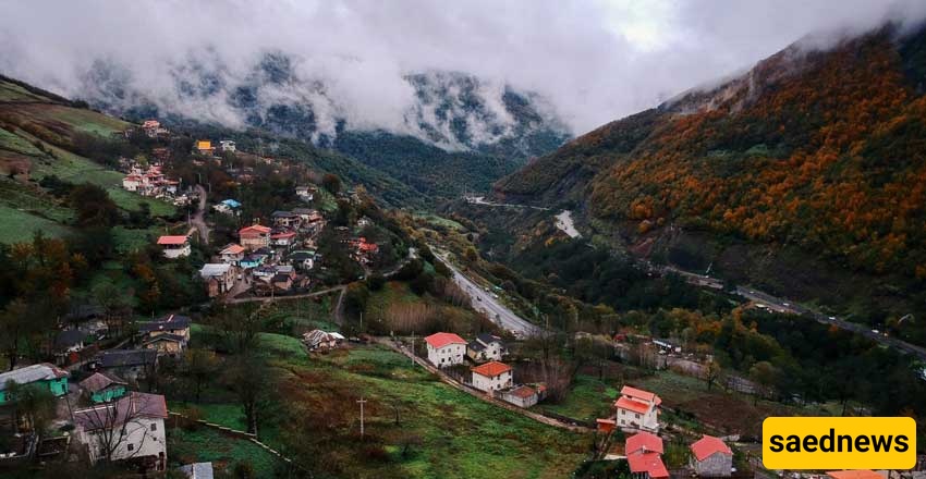 This Iranian Forest Rides an Ocean of Clouds(You Have to See It to Believe It)