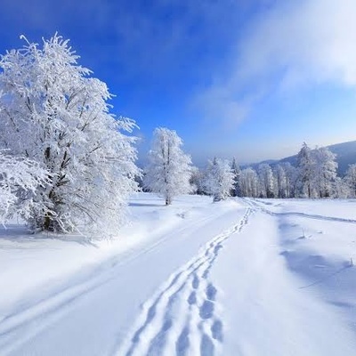 Why Is Snow White and Why Does the Weather Get Warmer When It Snows?