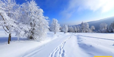 Why Is Snow White and Why Does the Weather Get Warmer When It Snows?
