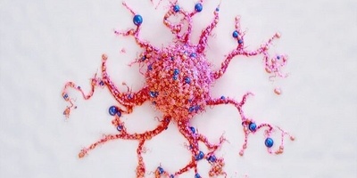 Design Of Binuclear Complexes For The Production Of Cancer Treatment Drugs