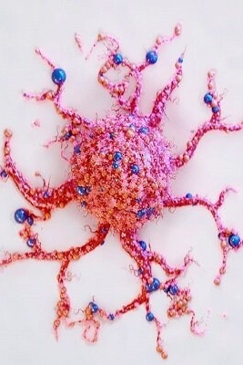 Design Of Binuclear Complexes For The Production Of Cancer Treatment Drugs