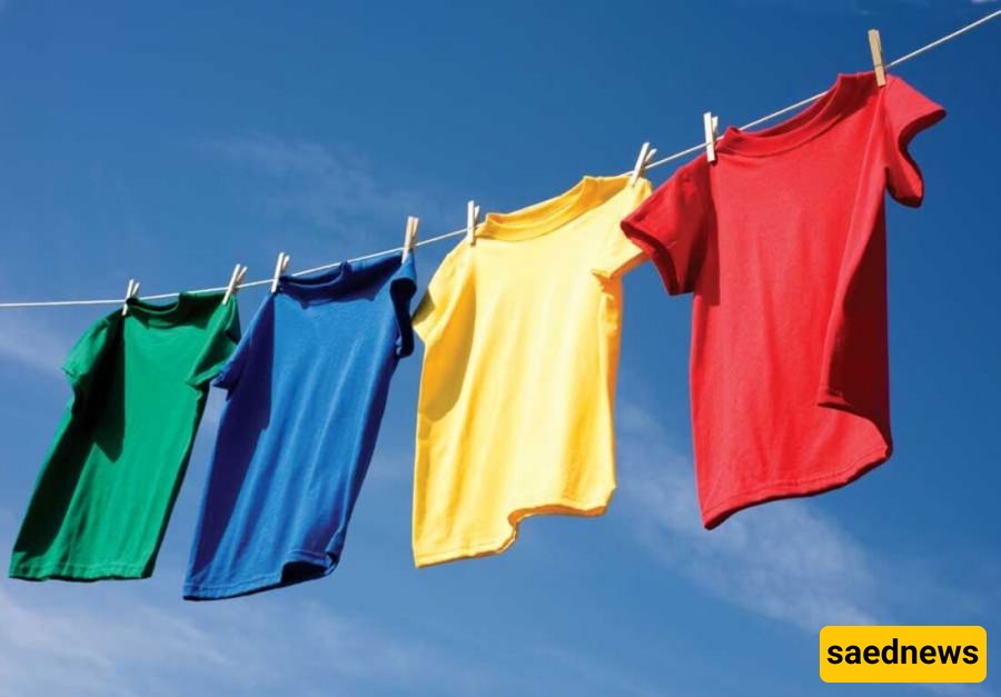 clothes