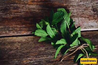 How to Dry Mint at Home