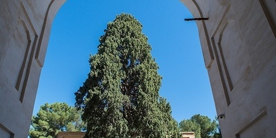 The Grand Mosque of Neyriz: A Timeless Architectural Marvel