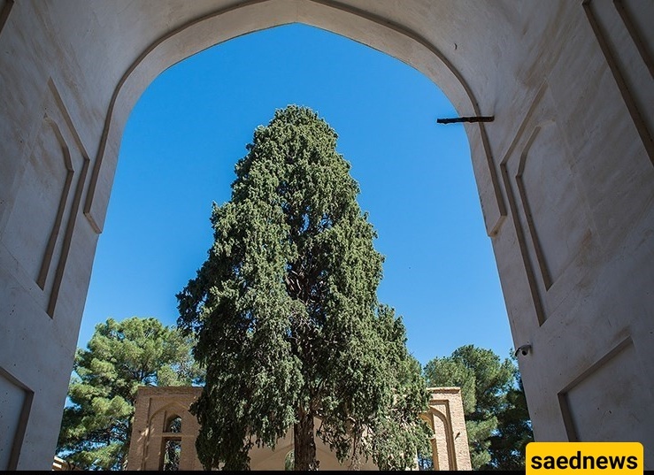The Grand Mosque of Neyriz: A Timeless Architectural Marvel