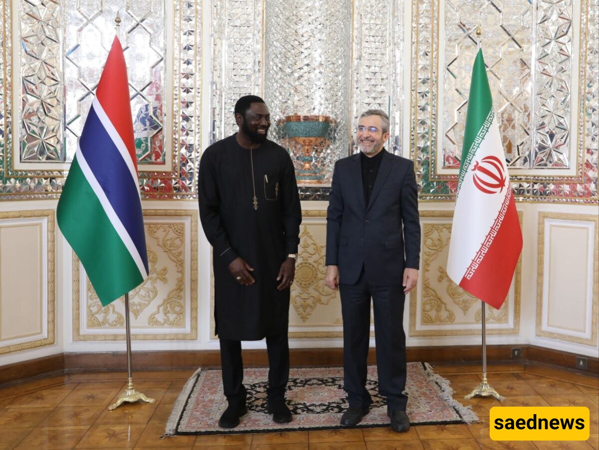 Iran and Gambia Reignite Diplomatic Relations After 14-Year Hiatus