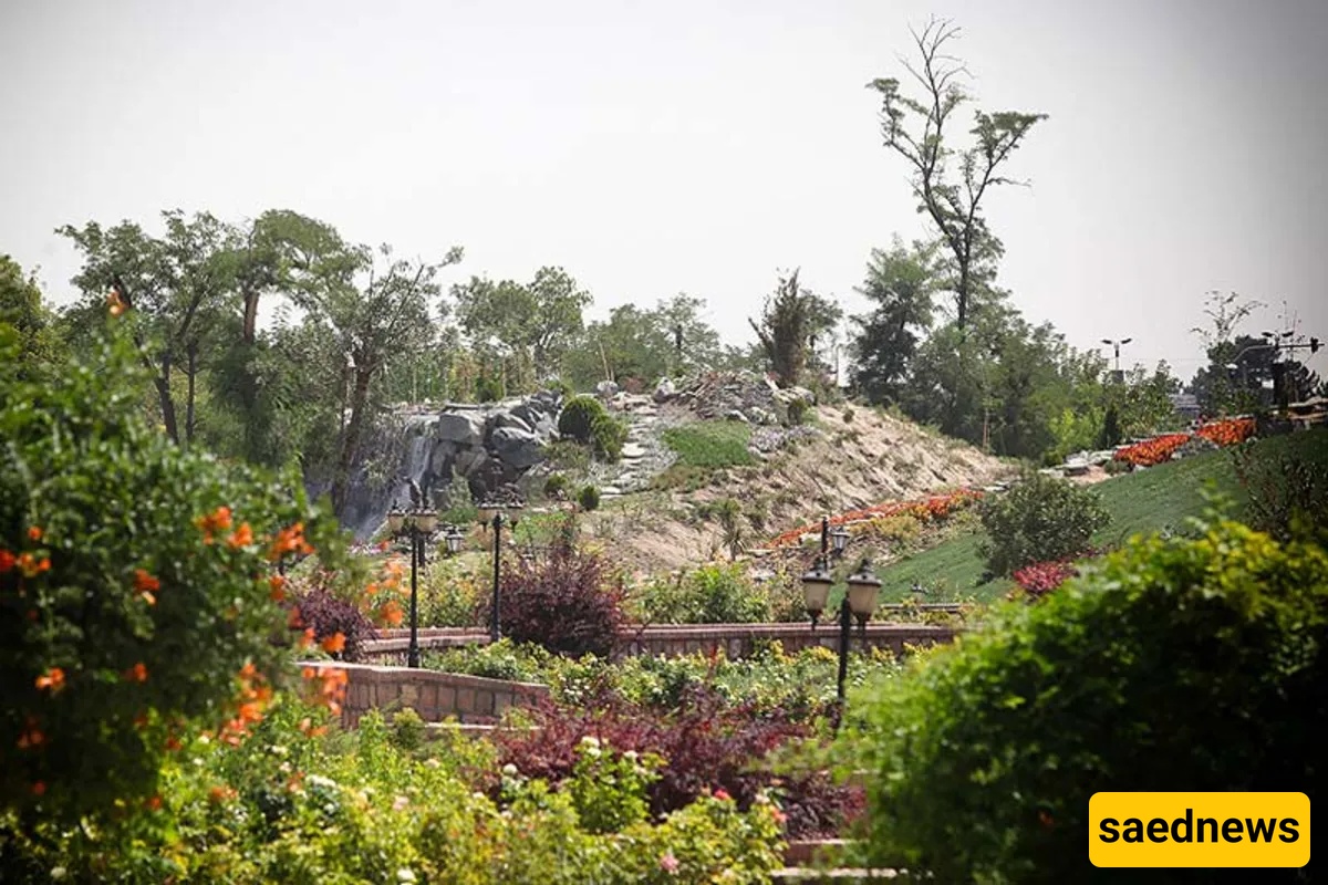 Mashhadd Garden