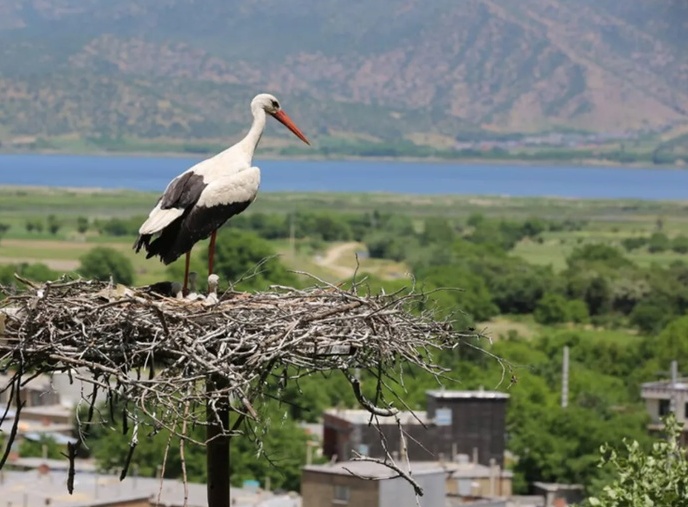 Lake Zarivar