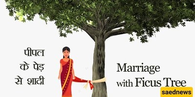 The Strange Tradition of Women Marrying Trees in India!!