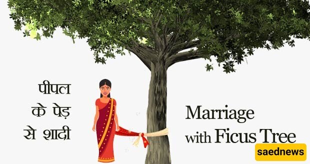 The Strange Tradition of Women Marrying Trees in India!!