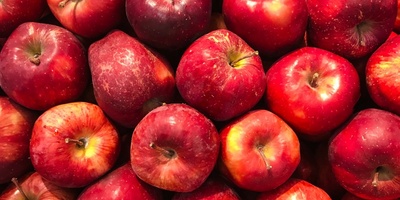 The Best Way to Store Apples and Prevent Them From Spoiling