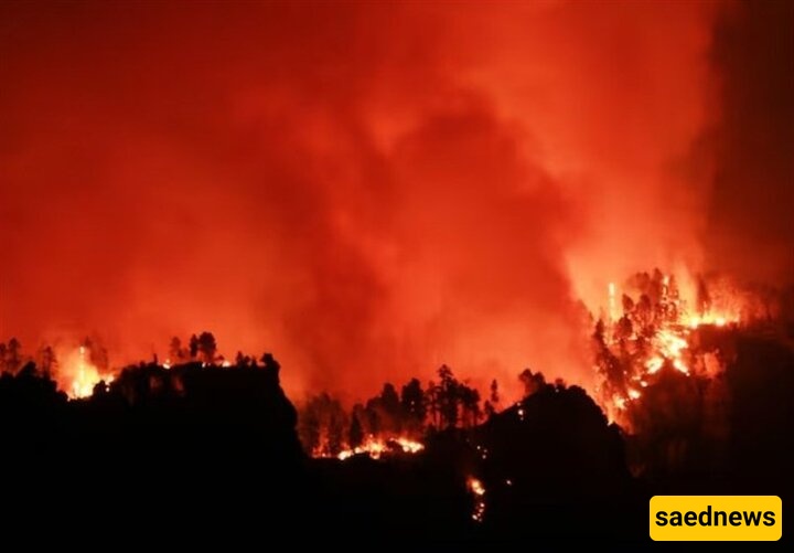 Trump Staff Cuts Force Firefighters To Clean Toilets: Critics