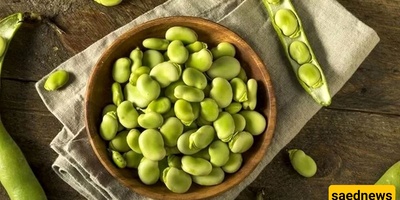How to Dry Green Broad Beans: The Best Method to Preserve Color and Aroma