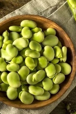 How to Dry Green Broad Beans: The Best Method to Preserve Color and Aroma