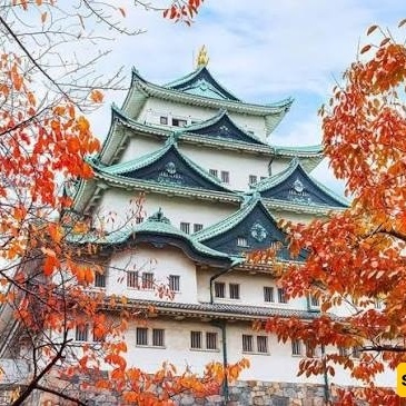 Nagoya Castle, Japan | History, Visitor Guide & Photos
