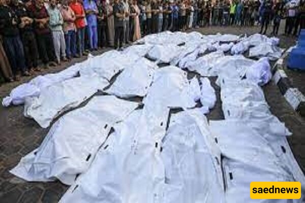 Carnage Amid Starvation: Israeli Forces Slaughter 44 Palestinians Including Aid Seekers