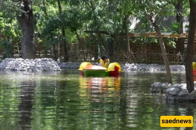 mashhad garden
