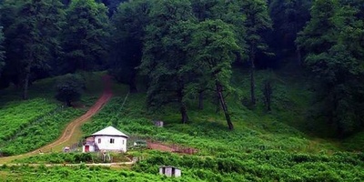Dalkhani Forest, Ramsar; a Dreamlike Road Through the Mist That Feels Like It Leads Straight to Paradise (Video)