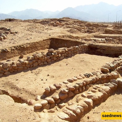 Amazing Discovery: A 5,600-Year-Old Jug with Bizarre Contents + Photos