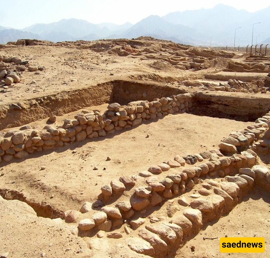Amazing Discovery: A 5,600-Year-Old Jug with Bizarre Contents + Photos