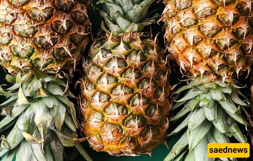 Benefits of the Tropical Fruit Pineapple: From Lowering Blood Pressure to Enhancing Skin Health