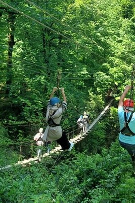 Looking for Thrills? Don’t Miss These 4 Incredible Ziplines