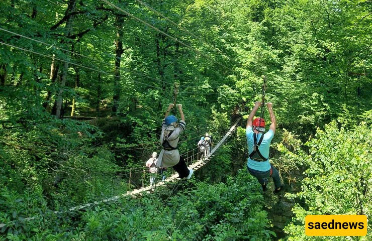 Looking for Thrills? Don’t Miss These 4 Incredible Ziplines