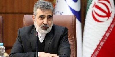IAEA Inspectors Monitor Refueling Bushehr Nuclear Plant