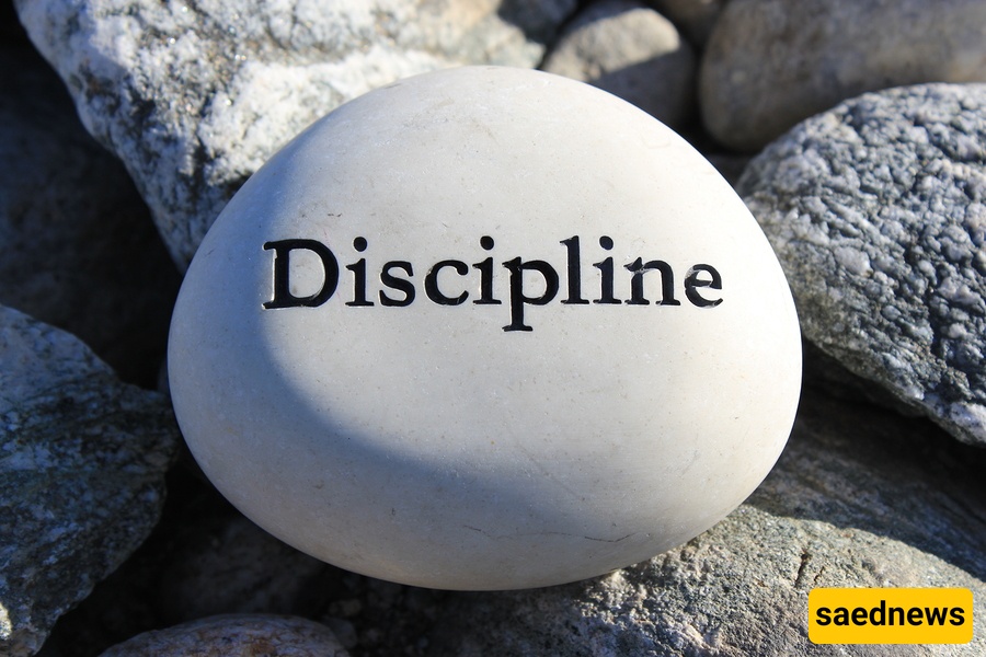 discipline 