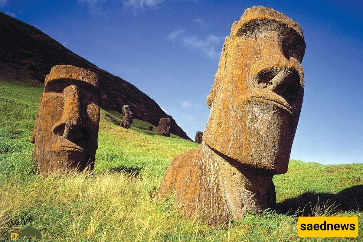 Rongorongo: The Mysterious Inscriptions That No Scholar Has Been Able to Decipher!