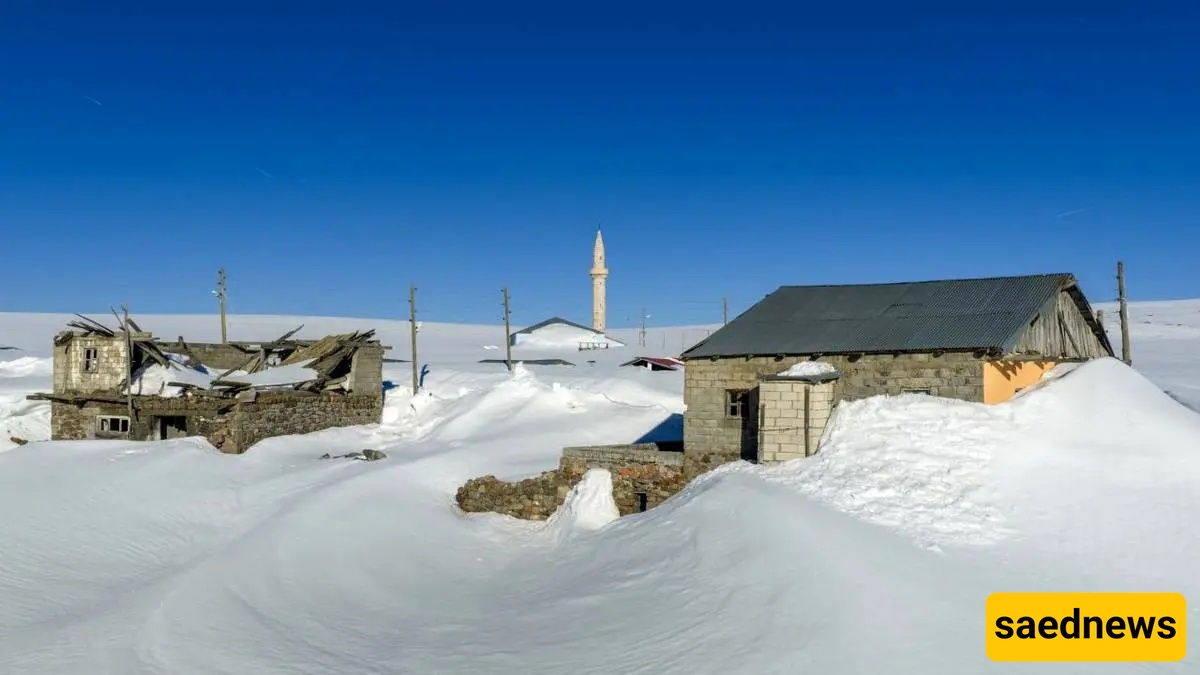 Spring Snowfall In Turkey