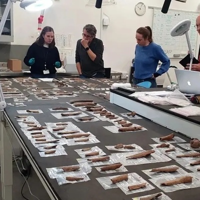 The Strange Story of Bones / Discovery of 6,000-Year-Old Bones in Denmark