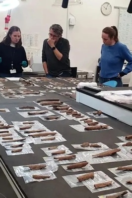 The Strange Story of Bones / Discovery of 6,000-Year-Old Bones in Denmark