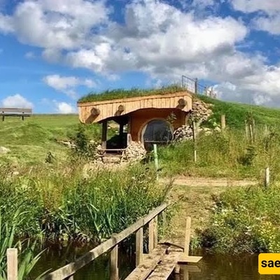 A Guide to Visiting the Enchanting “Shrek’s Swamp” in the Scottish Highlands