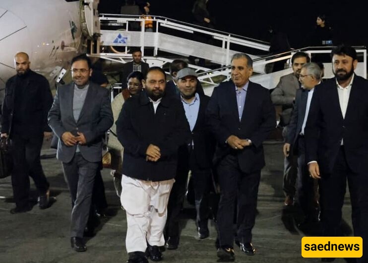 Pakistan’s Culture Minister Lands in Shiraz for Fajr International Film Festival