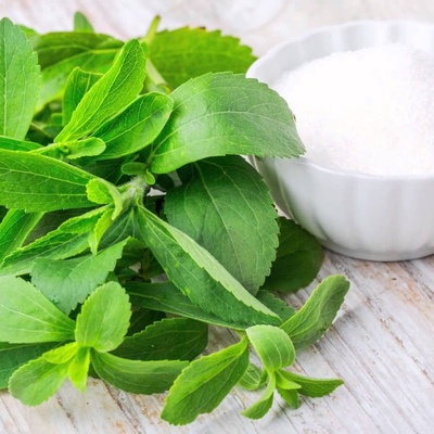 Benefits and Side Effects of the Stevia Plant