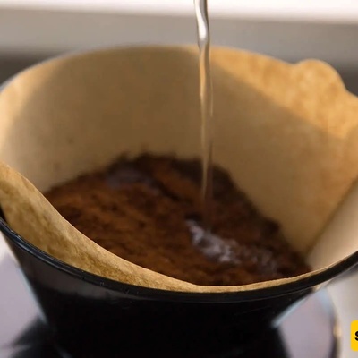 How to Ensure the Health of Your Plants’ Roots Using a Coffee Filter