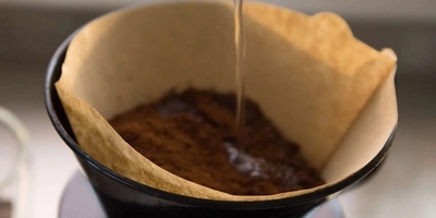 How to Ensure the Health of Your Plants’ Roots Using a Coffee Filter