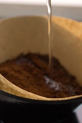 How to Ensure the Health of Your Plants’ Roots Using a Coffee Filter