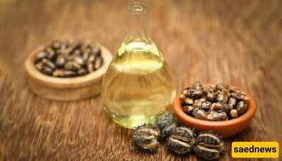 How to Easily Slim Down Your Stomach and Body with Castor Oil