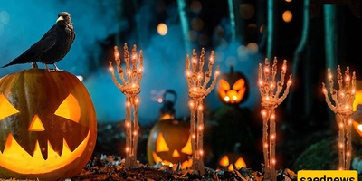 Chaos on American Streets: A Look at the Scariest Halloween Decorations in Neighborhoods – Watch and Be Terrified + Video