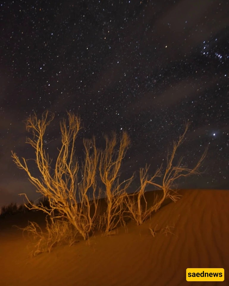 Tabas Desert