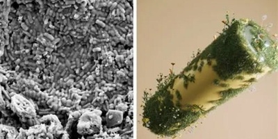 Iranian Scientists Develop Dissolvable Battery!