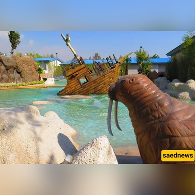 Discover Ocean Park Tehran: An Immersive Underwater Adventure in the Heart of the Capital