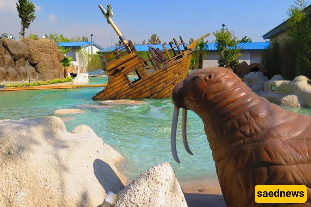 Discover Ocean Park Tehran: An Immersive Underwater Adventure in the Heart of the Capital