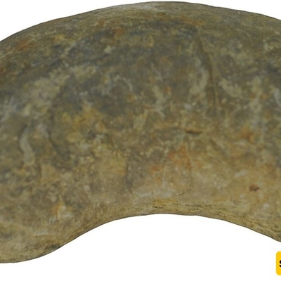 Crocodile Discovered in 200-Million-Year-Old ‘Fossilized Feces’! +Photos