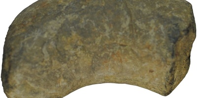 Crocodile Discovered in 200-Million-Year-Old ‘Fossilized Feces’! +Photos