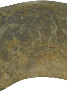 Crocodile Discovered in 200-Million-Year-Old ‘Fossilized Feces’! +Photos