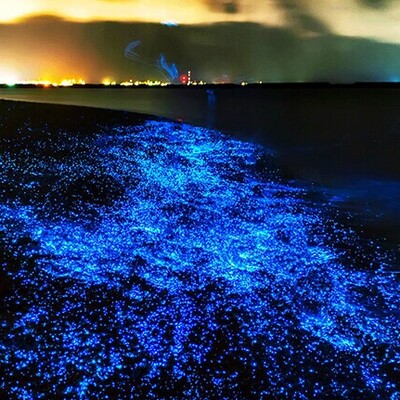 The Amazing Phytoplankton Beach in Southern Iran That Can Only Be Seen in Dreams/ Everyone Must Visit This Place at least once in their life + video