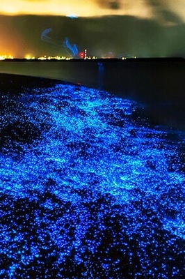 The Amazing Phytoplankton Beach in Southern Iran That Can Only Be Seen in Dreams/ Everyone Must Visit This Place at least once in their life + VIDEO